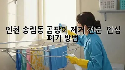 인천 송림동 곰팡이 제거 전문 💯 안심 폐기 방법